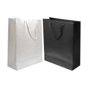 AB 01 PAPER BAG